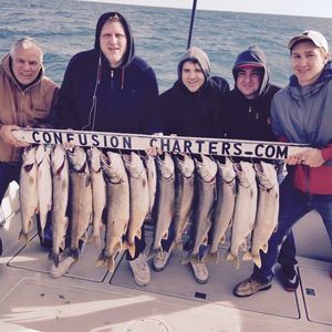 Meet your Posher, Tom